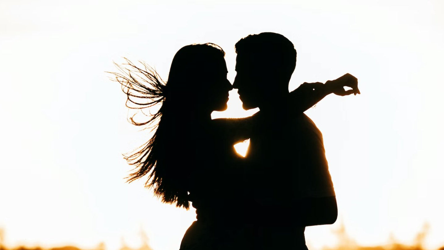 A Beginner's Guide to Having Sex in Public Places - LAVAH INTIMATES