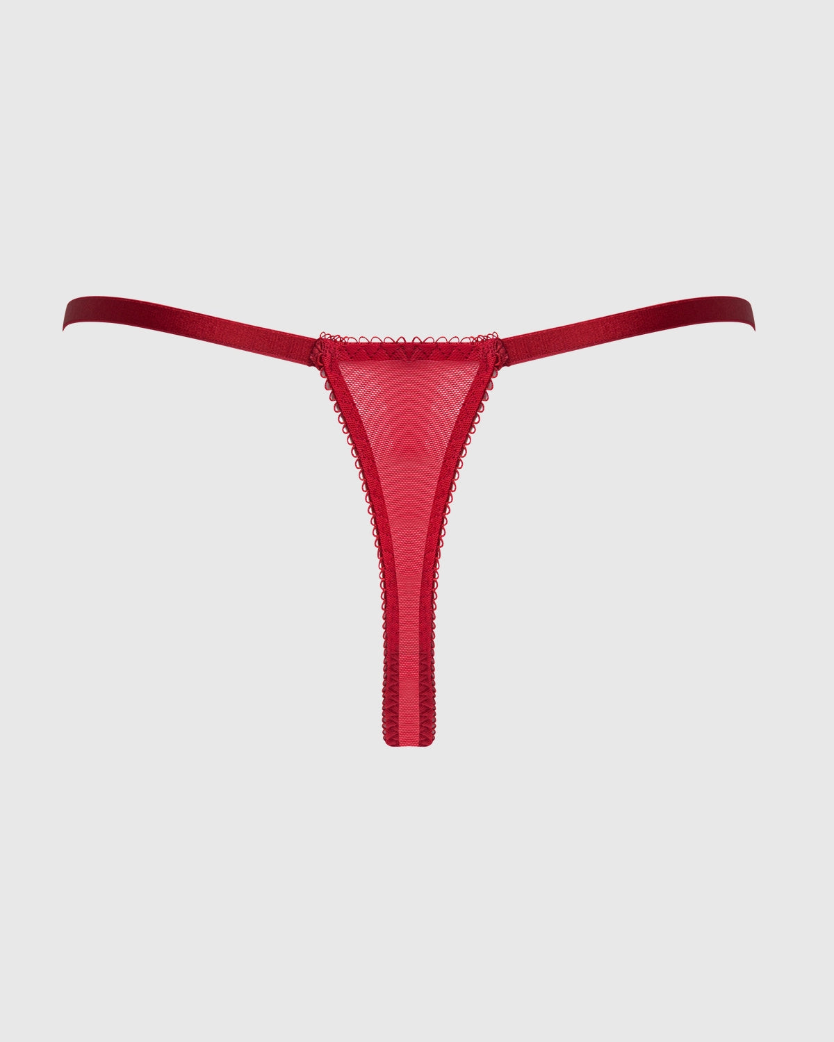 Rosalie Embroidered Lace Mesh Crotchless Thong | Lavah Intimates