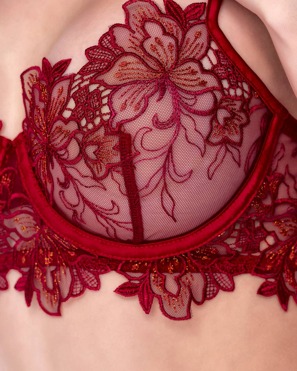 Fiorella Rosewood Embroidered Bra Set