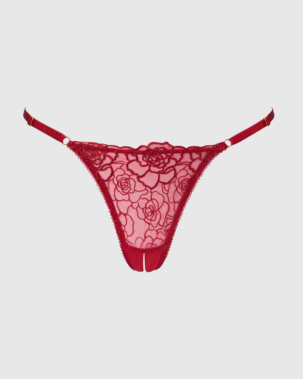Rosalie Embroidered Lace Mesh Crotchless Thong | Lavah Intimates