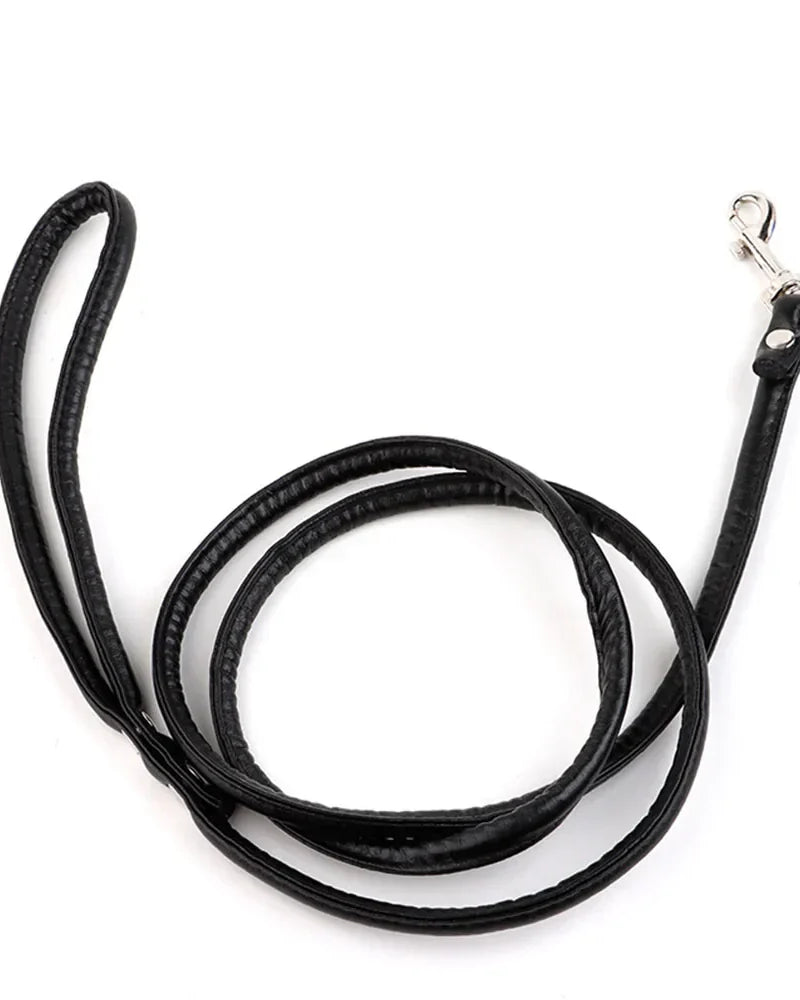 Tush Plug Leash | Lavah Intimates