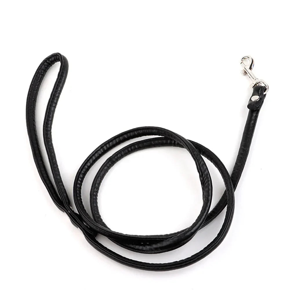 Tush Plug Leash | Lavah Intimates
