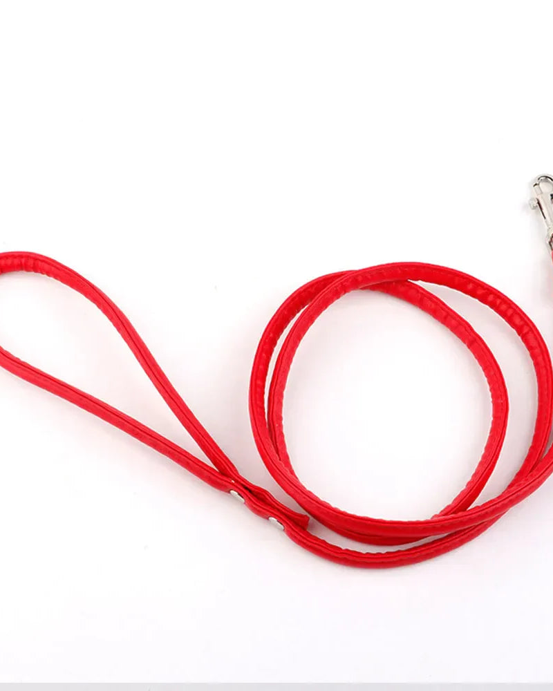 Tush Plug Leash | Lavah Intimates