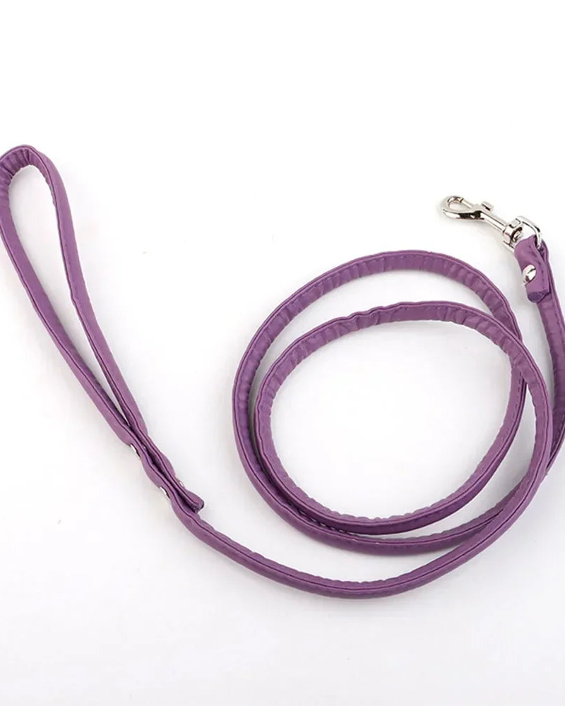 Tush Plug Leash | Lavah Intimates