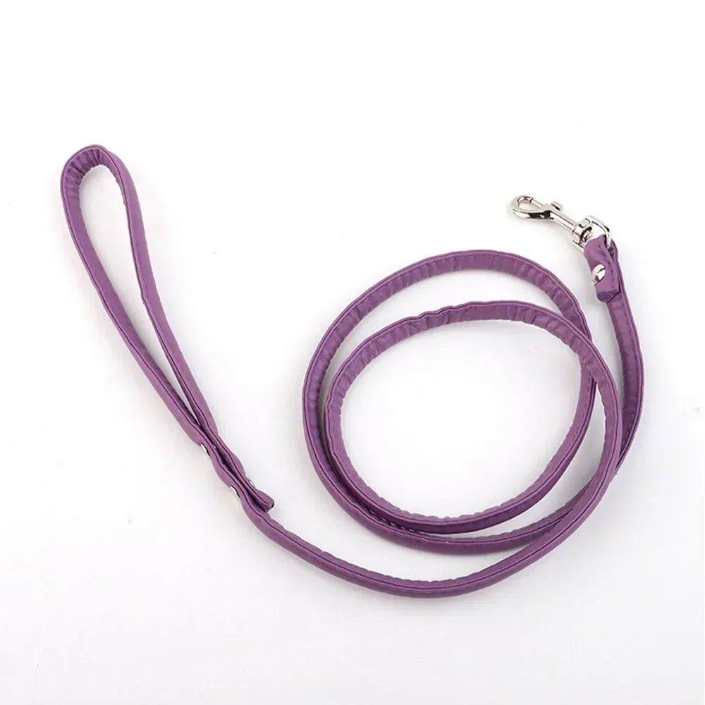Tush Plug Leash | Lavah Intimates