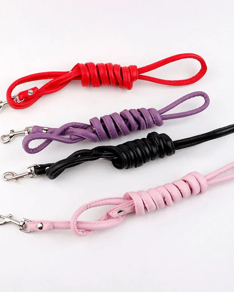 Tush Plug Leash | Lavah Intimates