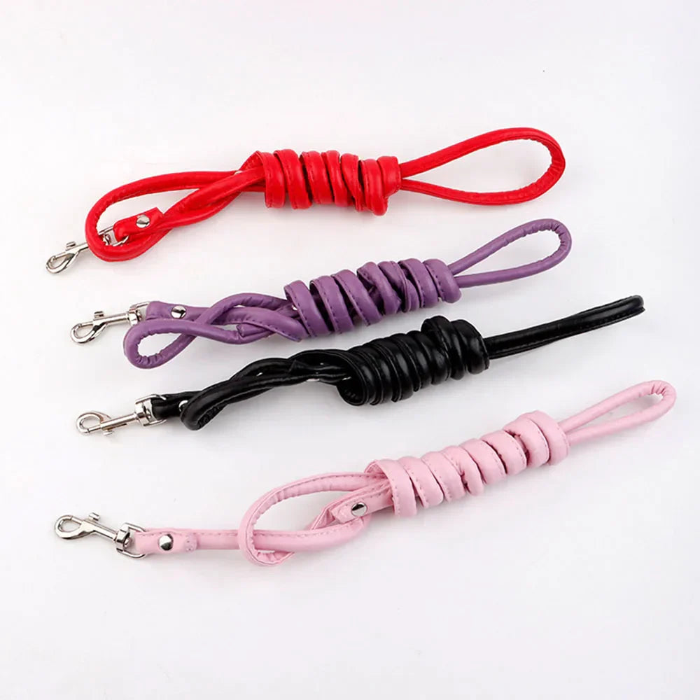 Tush Plug Leash | Lavah Intimates