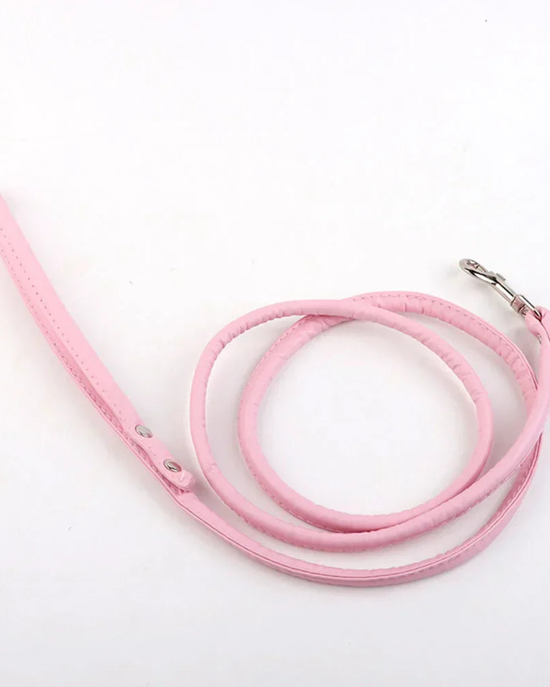 Tush Plug Leash | Lavah Intimates