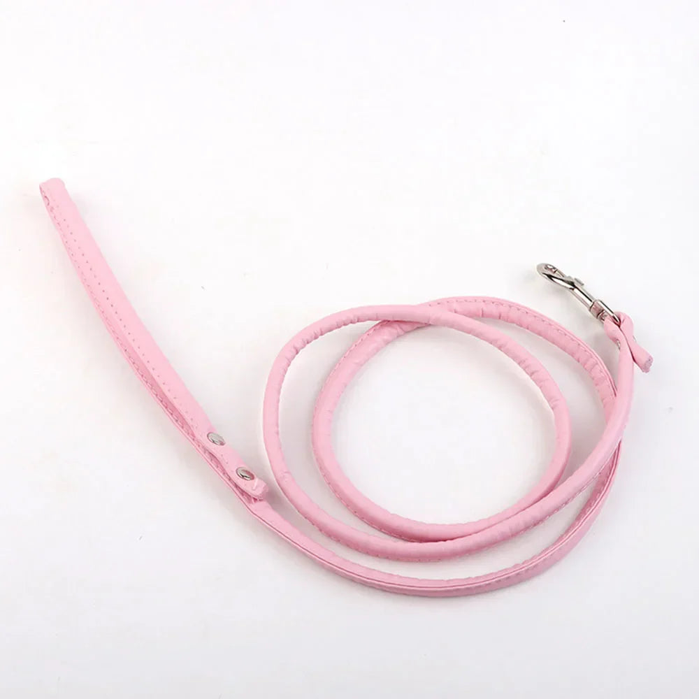 Tush Plug Leash | Lavah Intimates