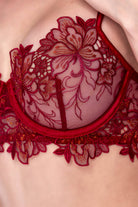 Fiorella Rosewood Embroidered Bra Set