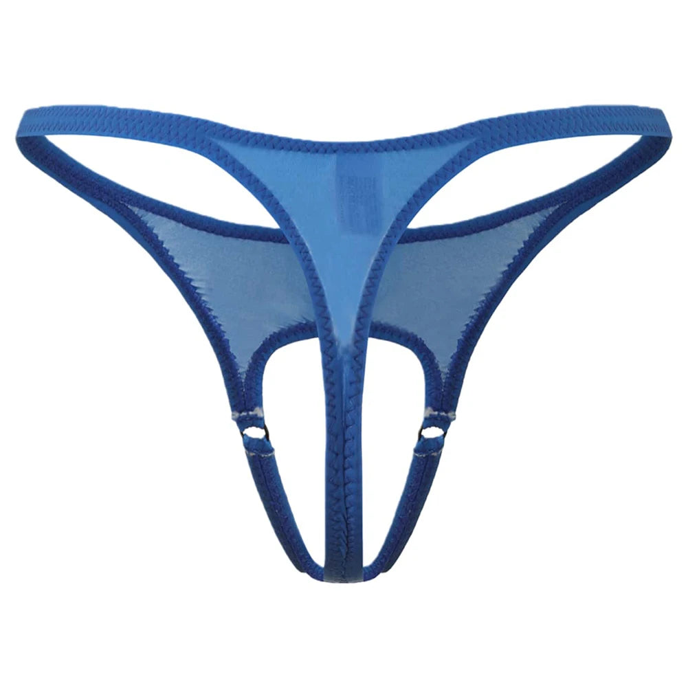 The Sneak Peak Panty | Lavah Intimates