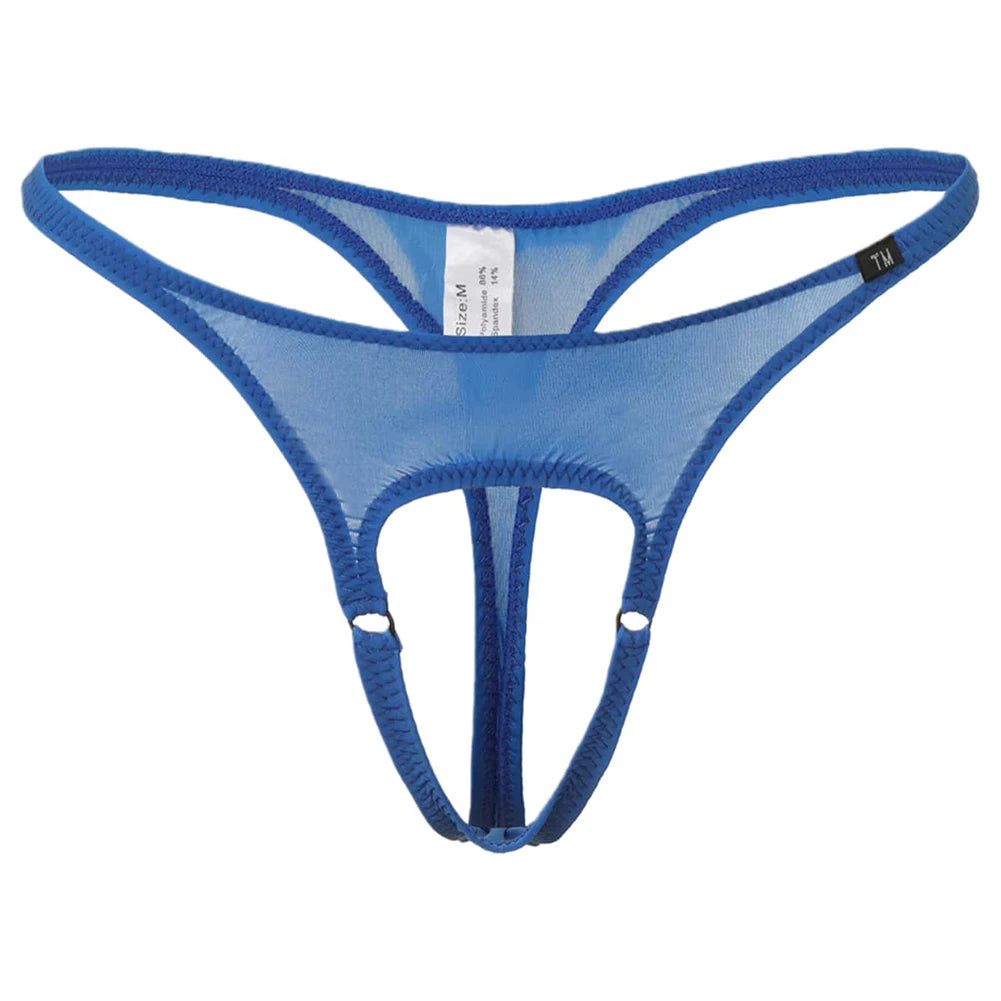 The Sneak Peak Panty | Lavah Intimates