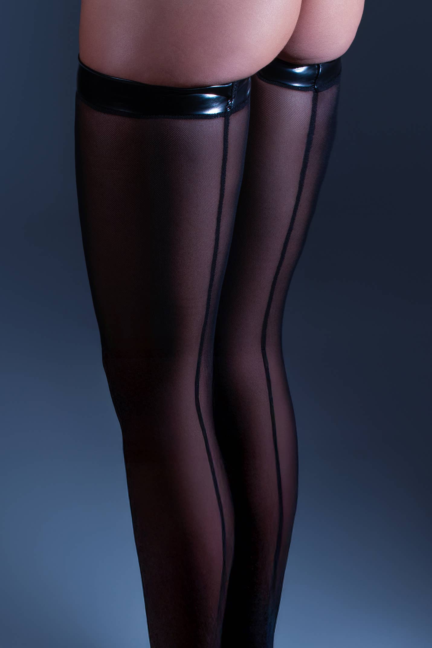 [PRE-ORDER] Hold Sheer Thigh-Highs with High-Shine Bands | Lavah Intimates